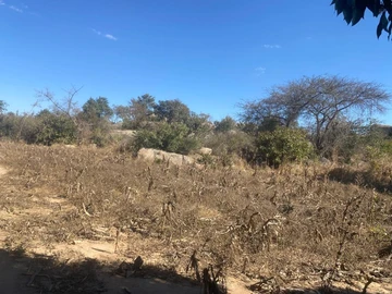 Commercial & Industrial Land