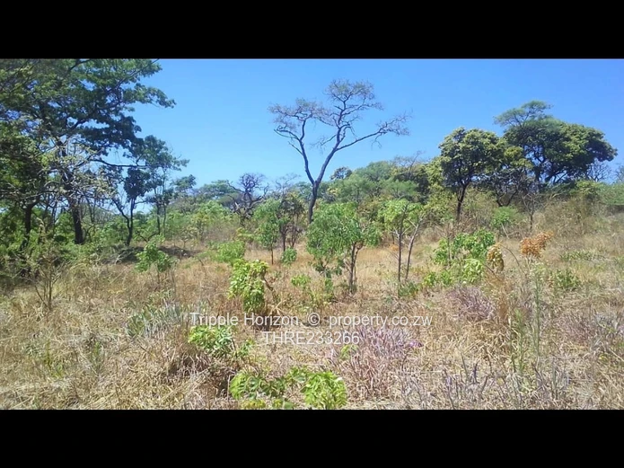 Shawasha hills stand 