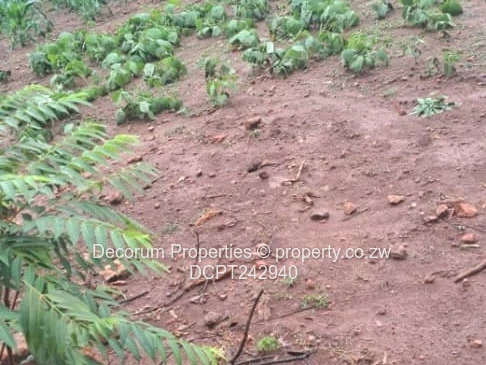 Prime 1011 m² Residential Stand for Sale in Tynwald South