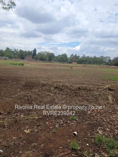 Old Marlborough 800- 1000sqm stands 