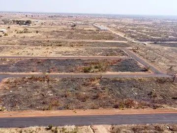 Stands & Residential Land