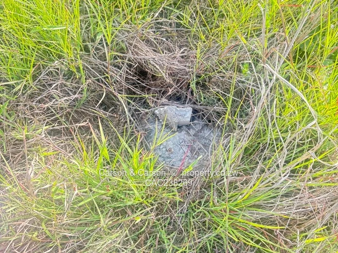 Goodhope vacant stand