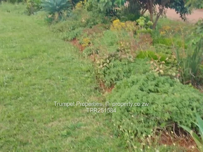 Leafy 3000m² Glen Lorne Stand — Tarred Road, Subdividable