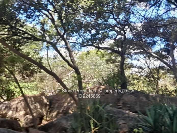 Greendale House To Let – $2,200 (Negotiable)