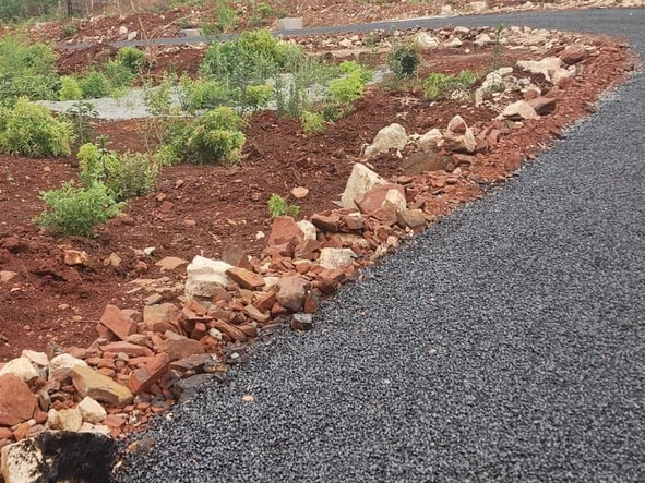 Stands & Residential Land