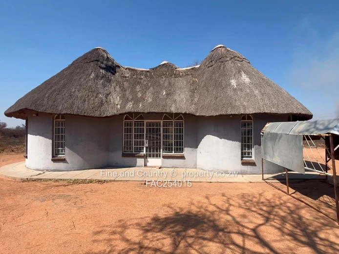Prime Plot on the Main Road