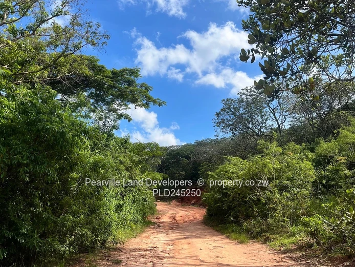 Chipinge Bangazani 1000sqm 