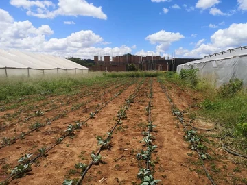 Ready to Build Stand: Prime Area Off Gletwin Road