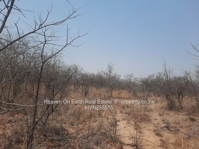 Plots For Sale