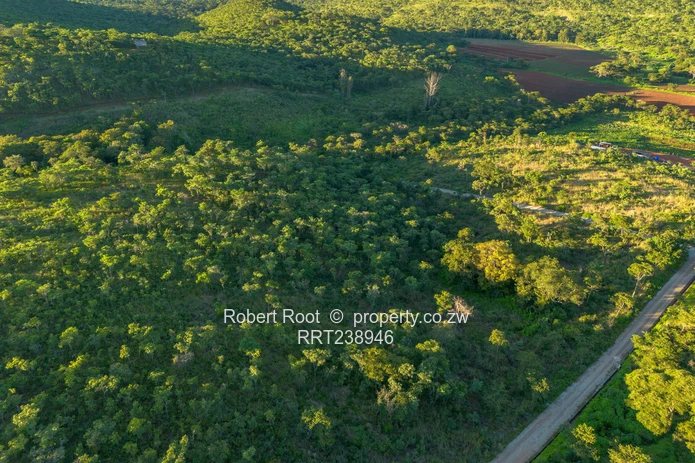 Agro-Residential Plots For Sale