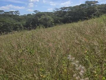 Farm & Agricultural Land