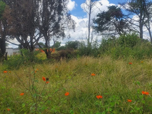 Farm & Agricultural Land