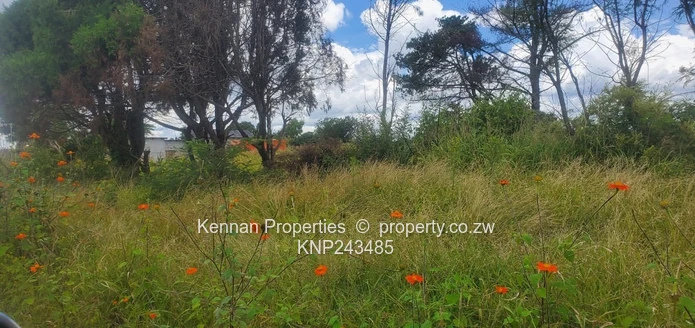 5 Acres Central Gweru With Deeds!