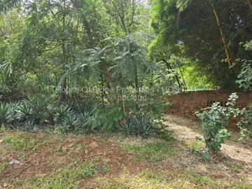 Prime 2000 m² Stand for Sale in Exclusive Borrowdale Brooke