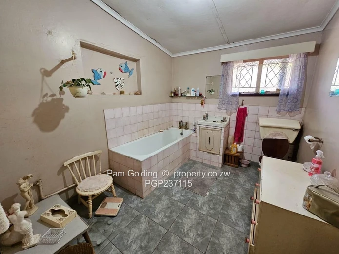 Expansive Gwanda Gem