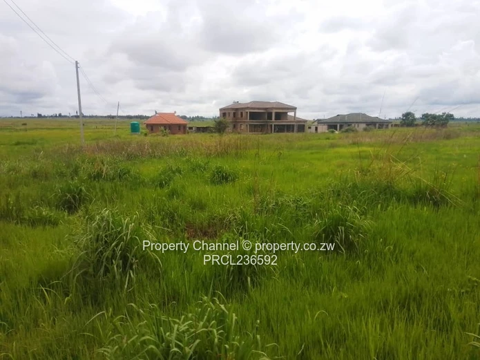 Goodhope Stand For Sale