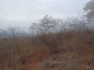 Farm & Agricultural Land