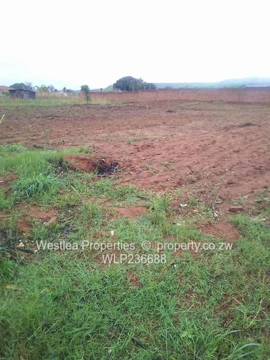 An opportunity not to miss