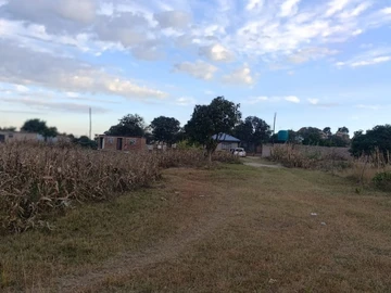Land