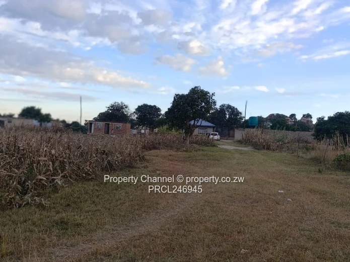 2000 m² Fenced Plot with Road Access in Whitecliff
