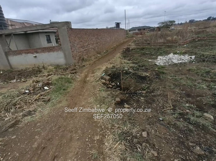 Build-ready stand on Prime land — Glaudina