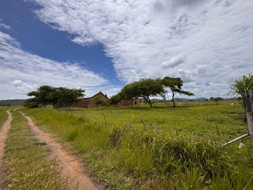 Farm & Agricultural Land