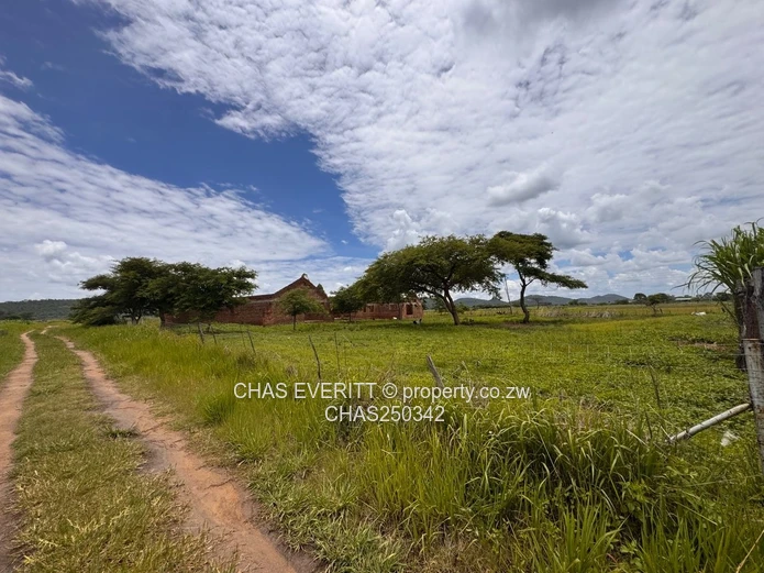 Kintyre Estate Plot For Sale