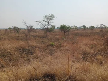 Farm & Agricultural Land