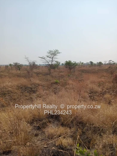Chegutu Selous Agro-Residential Plot (Sole Mandate)
