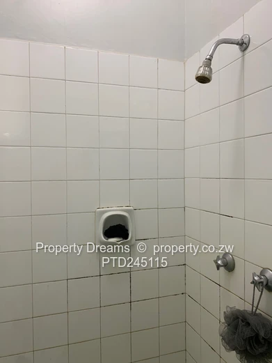 Harare CBD 2-Bed Garden Flat — Updated Kitchen & Borehole