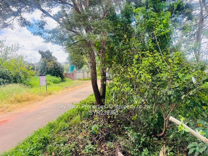 Mandara Land For Sale