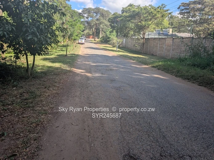 2 Stands For Sale In Colne Valley