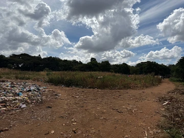 Commercial & Industrial Land
