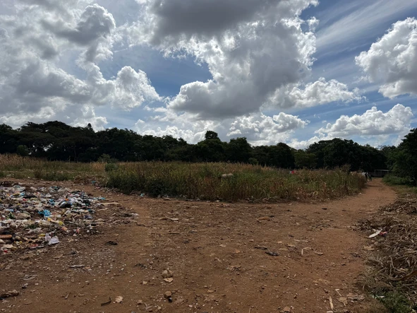 Commercial & Industrial Land