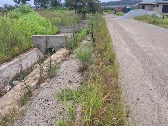 Stands & Residential Land