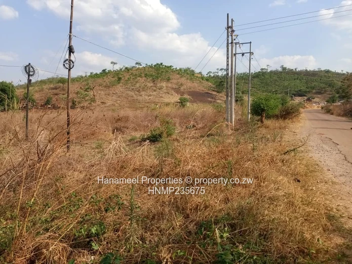 Glen lorne  (Sole Mandate)