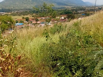 Commercial & Industrial Land