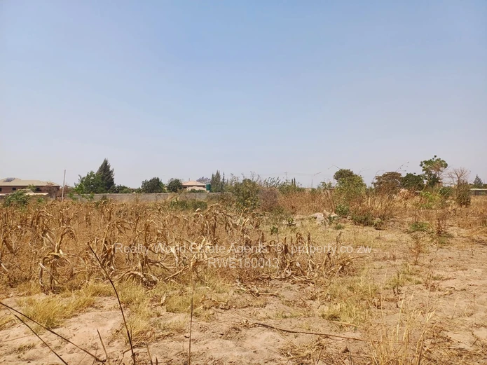 Rydale Ridge Stand For Sale 