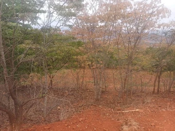 Farm & Agricultural Land