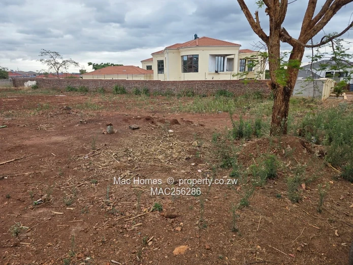 Ready to Build Stand for Sale
