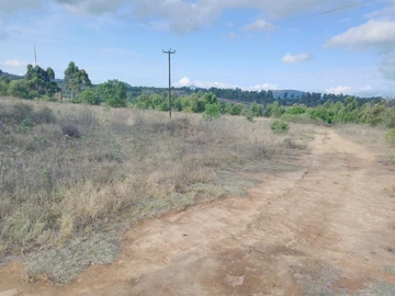 Farm & Agricultural Land