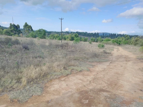 Farm & Agricultural Land