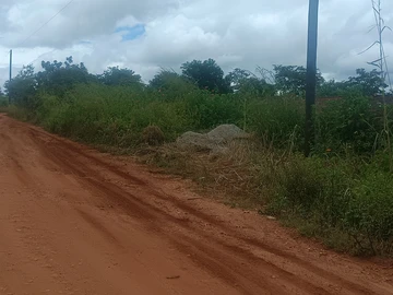 Farm & Agricultural Land