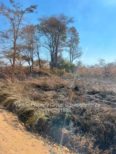 Sawara hills Residential stands for sale