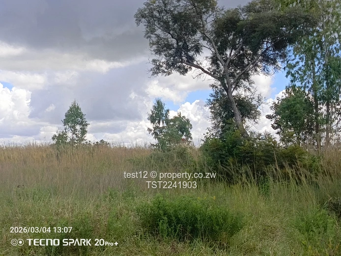 Ruwa - Goromonzi Plot for sale  (Sole Mandate)