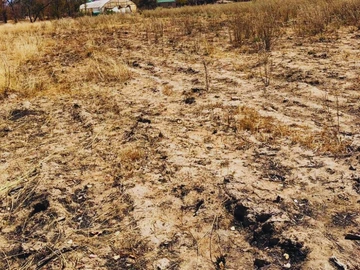 Farm & Agricultural Land