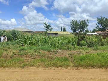 Stands & Residential Land