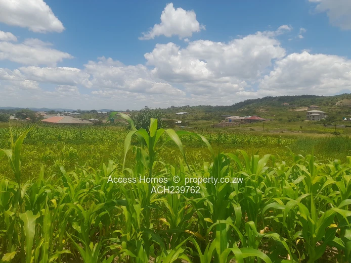 Crowhill Views  (Sole Mandate)