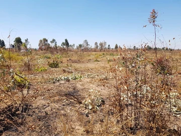 Commercial & Industrial Land