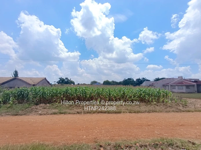 2,112m² Knowe Plot — Maize-Backed, Gravel Road Frontage
